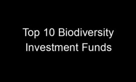 Top 10 Biodiversity Investment Funds