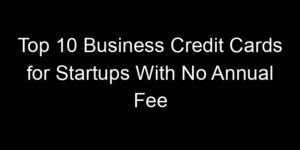 Read more about the article Top 10 Business Credit Cards for Startups With No Annual Fee