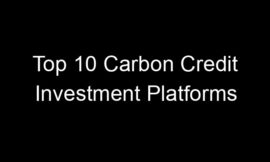 Top 10 Carbon Credit Investment Platforms