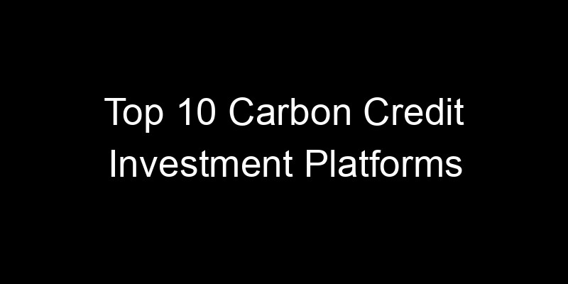 Read more about the article Top 10 Carbon Credit Investment Platforms