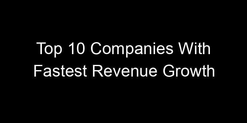 Read more about the article Top 10 Companies With Fastest Revenue Growth