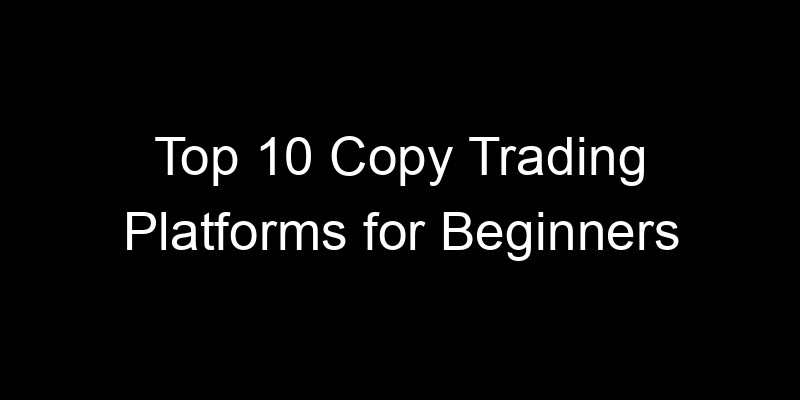 Read more about the article Top 10 Copy Trading Platforms for Beginners