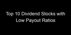 Read more about the article Top 10 Dividend Stocks with Low Payout Ratios