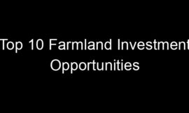 Top 10 Farmland Investment Opportunities