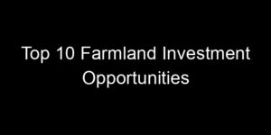 Read more about the article Top 10 Farmland Investment Opportunities