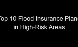 Top 10 Flood Insurance Plans In High-Risk Areas