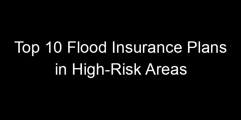 Read more about the article Top 10 Flood Insurance Plans In High-Risk Areas