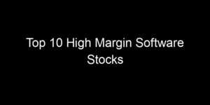 Read more about the article Top 10 High Margin Software Stocks