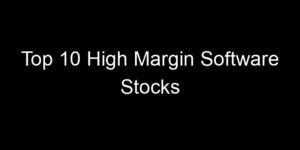 Read more about the article Top 10 High Margin Software Stocks