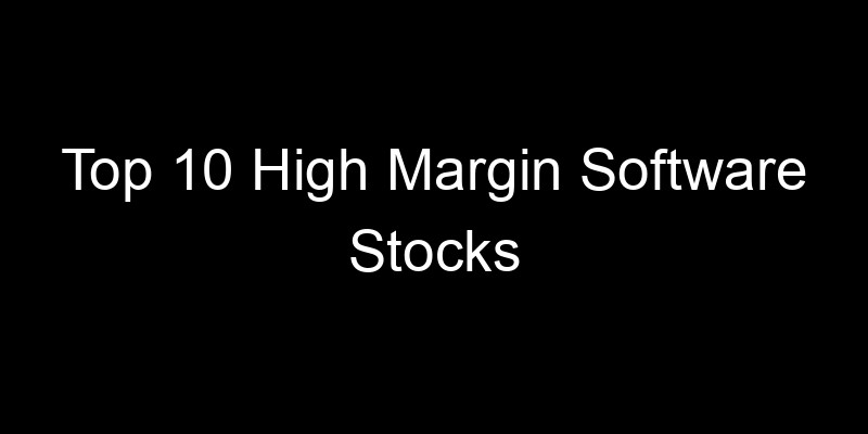 Read more about the article Top 10 High Margin Software Stocks