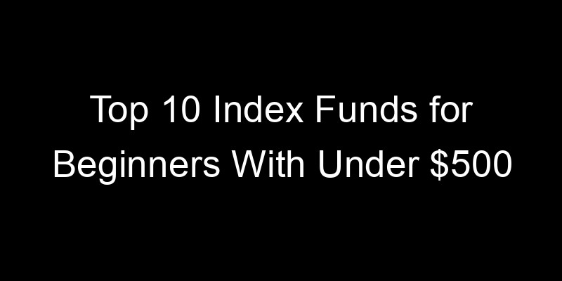 Read more about the article Top 10 Index Funds for Beginners With Under $500