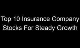 Top 10 Insurance Company Stocks For Steady Growth