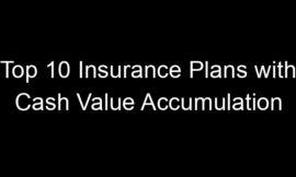 Top 10 Insurance Plans With Cash Value Accumulation