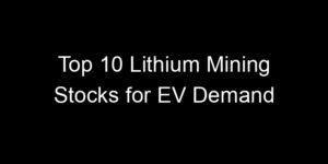 Read more about the article Top 10 Lithium Mining Stocks for EV Demand