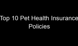 Top 10 Pet Health Insurance Policies