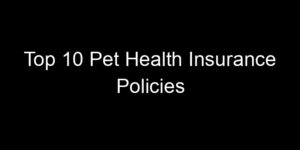 Read more about the article Top 10 Pet Health Insurance Policies