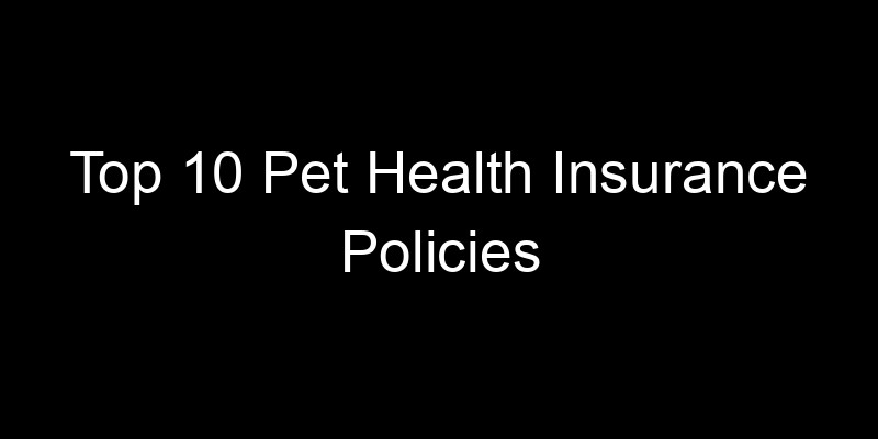 Read more about the article Top 10 Pet Health Insurance Policies
