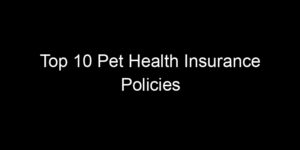 Read more about the article Top 10 Pet Health Insurance Policies