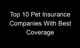 Top 10 Pet Insurance Companies With Best Coverage