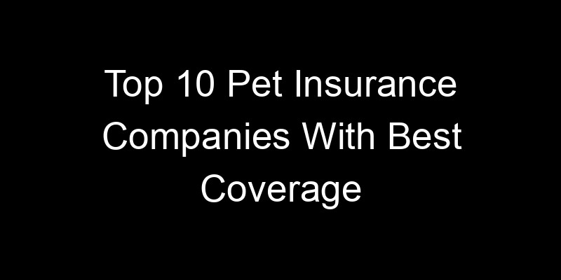 Read more about the article Top 10 Pet Insurance Companies With Best Coverage