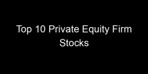Read more about the article Top 10 Private Equity Firm Stocks