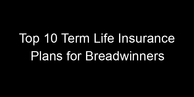 Read more about the article Top 10 Term Life Insurance Plans for Breadwinners