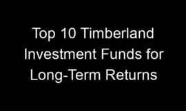Top 10 Timberland Investment Funds for Long-Term Returns
