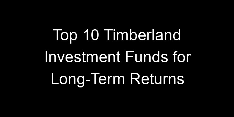 Read more about the article Top 10 Timberland Investment Funds for Long-Term Returns