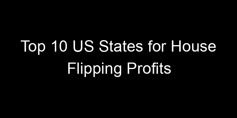 Read more about the article Top 10 US States for House Flipping Profits