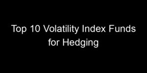 Read more about the article Top 10 Volatility Index Funds for Hedging